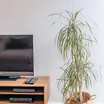 Apartament Aquilla's Alfama By Mycelia *